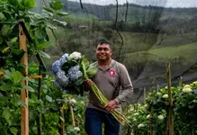 wellnes plataforma agro