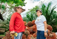 cabecera plataforma agro
