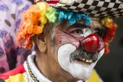 Coquito-cronicas-del-barrio-bello-28+-