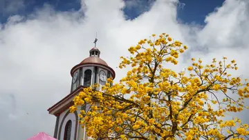 viajes-comfama-tamesis