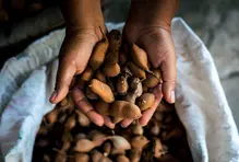 Santa Fe de Antioquia