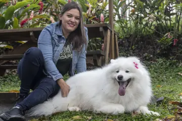 Imagen > Vacuna Antirrábica