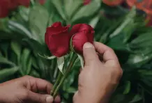 Fernando-ospina-cronicas-del-barrio-aranjuez-9