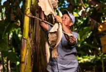 Jesus-maria-cuervo-cronicas-del-barrio-puerto-berrio-9