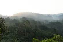 Regala un respiro a tu equipo de trabajo en el Parque Comfama Arví