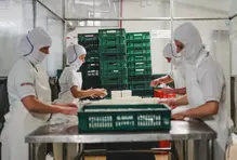 bienvenida-empresas-2