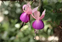 Educación para la Vida