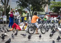 Coquito-cronicas-del-barrio-bello-21