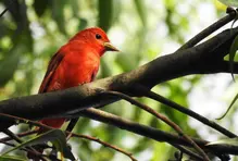 Economía regenerativa: ¿cómo empezar a pensarnos en ella?