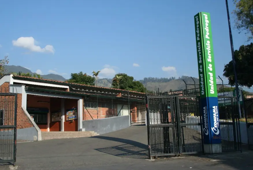 Línea de tiempo Pedregal 2