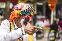 Coquito-cronicas-del-barrio-bello-27