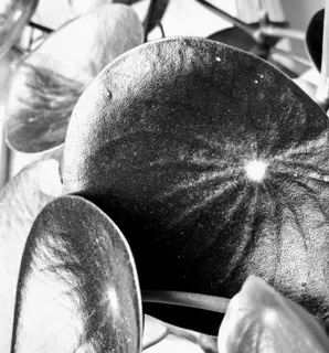 medellin_a_solas_nos_corazon_de_hombre_2