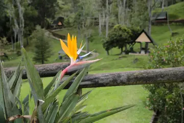 Foto 30 galería > Informe 2021