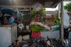 Pablo-muñoz-cronicas-de-la-region-puertoberrio-50