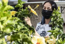 Vacunación no-COVID