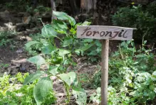 Huertas orgánicas10