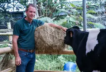 Montellano Agro Comfama