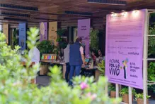 Festival Actuar por lo Vivo