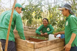Crecemos en las regiones con nuestros proveedores