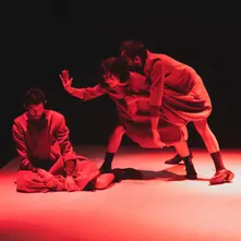 Teatro do Chapitô_Festival de Teatro y Música Comfama San Ignacio