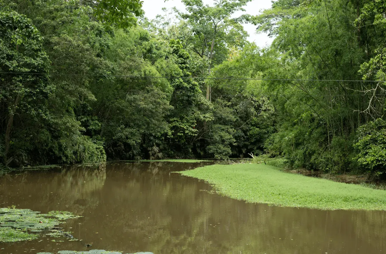 Imagen destacado cursos