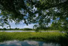 restauracion-portada