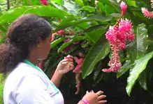 Agro Tec reconociendo Urabá
