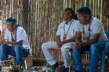 wellness-tamesis-saberes