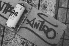 Luisa-fernanda-cardenas-cronicas-del-barrio-pedregal-20