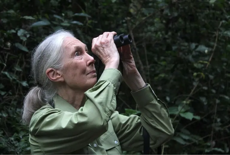 Jane Goodall: <span style="color:#db0061;">razones para la esperanza</span>