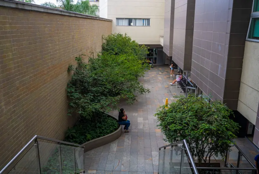 línea_tiempo_bello3