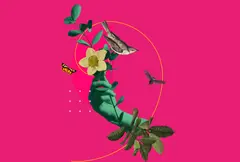 Informe de sostenibilidad Comfama