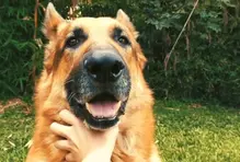 acuerdos-vecinos-mascotas3