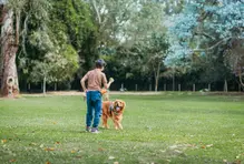 Informe de Asamblea 2024 7