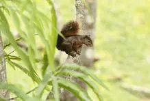 #DíaDeLaMadreTierra