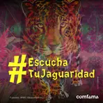 Qué tanto sabes del jaguar -8