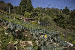 Nelly-Bedoya-cronicas-de-la-region-san critobal-2