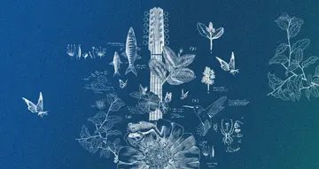 concurso-antioquia-reimaginada