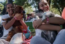 Puente de reyes - Parques Comfama