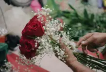 Fernando-ospina-cronicas-del-barrio-aranjuez-12