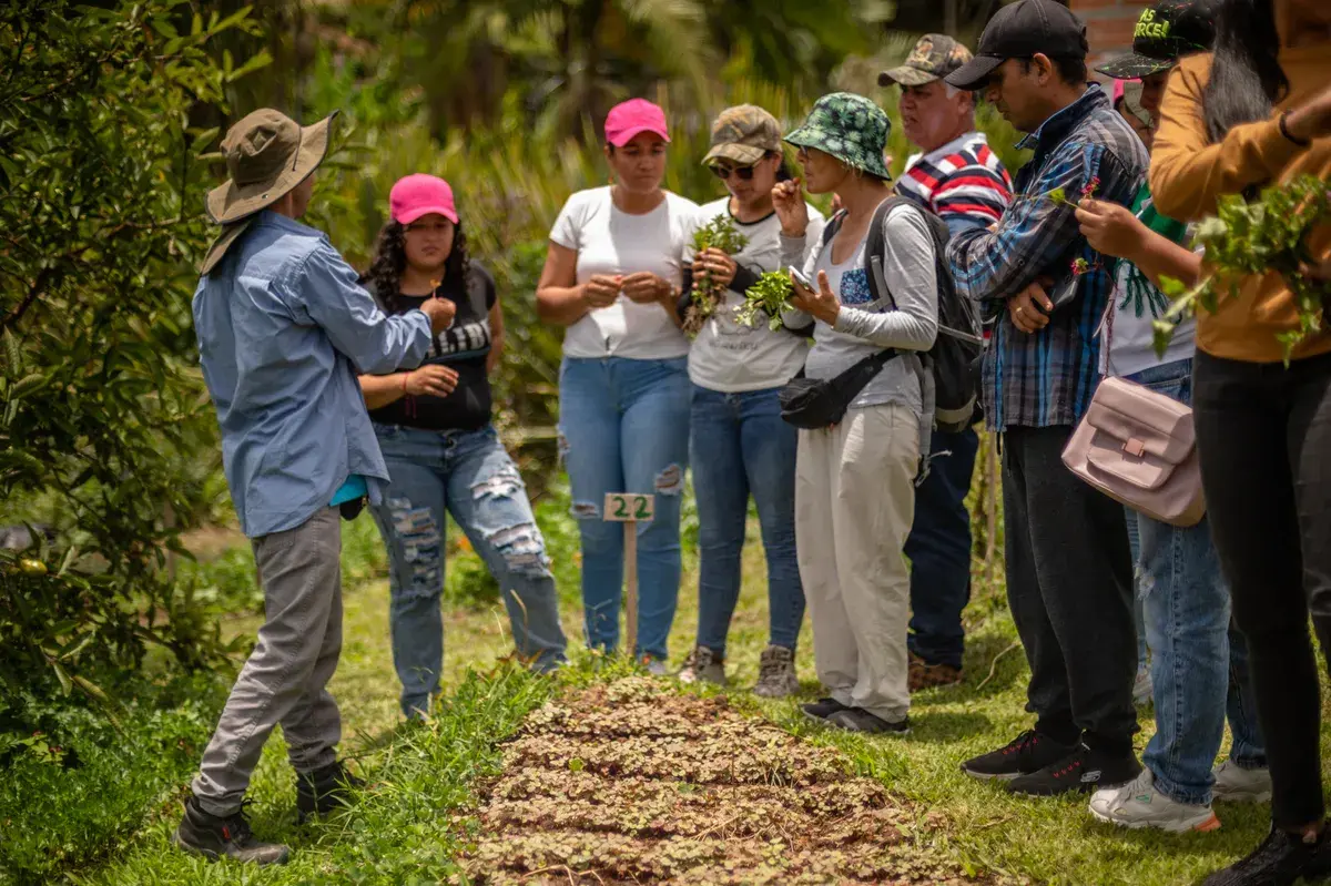 Sostenibilidad Comfama