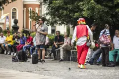 Coquito-cronicas-del-barrio-bello-18