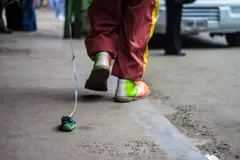 Coquito-cronicas-del-barrio-bello-24