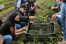 Economía y Finanzas