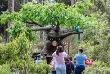 wellness-comparte-local