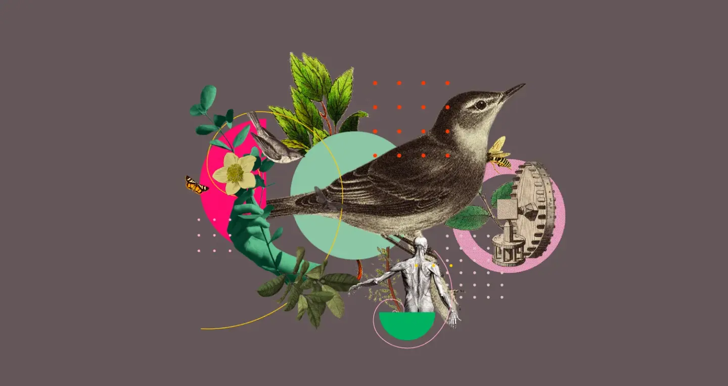 Imagen destacado cursos