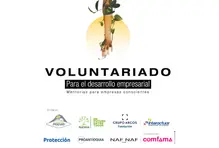 Voluntariado-logo