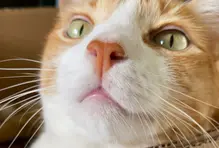 Servicios financieros