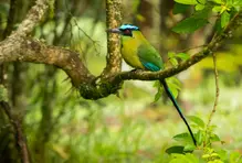 viajes-comfama-pajareros-medellin-2