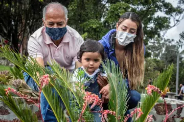 Merco Colombia 2020